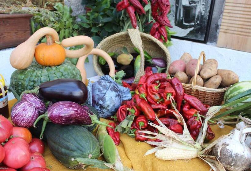 膳宿费 Hostal Pampaneira