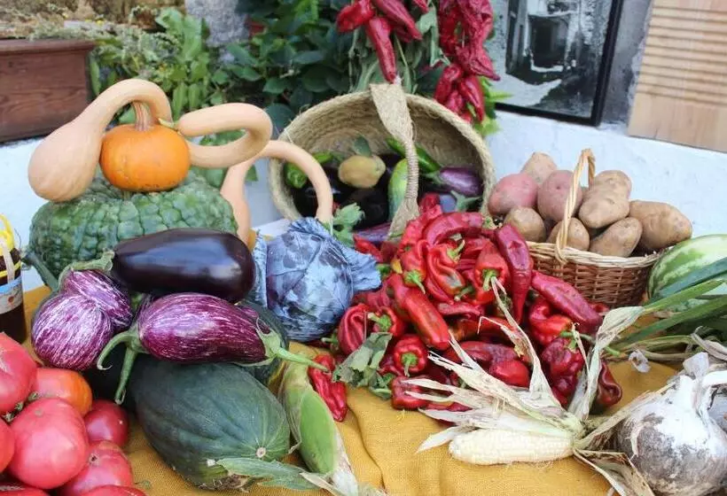 Majatalo Hostal Pampaneira