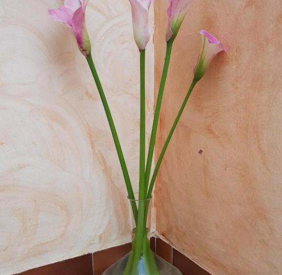 膳宿费 Hostal Pampaneira