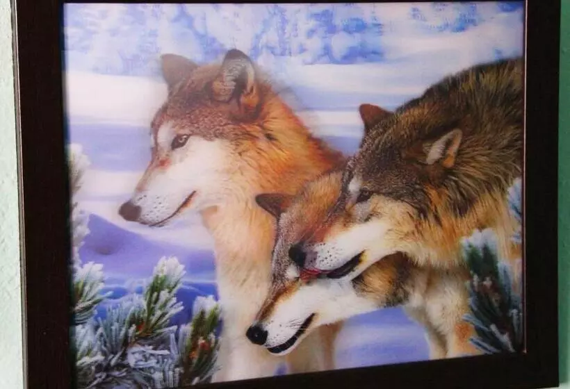 ペンション Hostal San Miguel By Croma