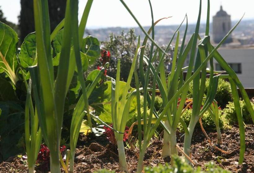 بنسيون Montjuic Boutique Bed & Breakfast Girona