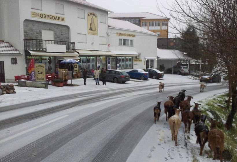 Общежитие A Torre No Sabugueiro