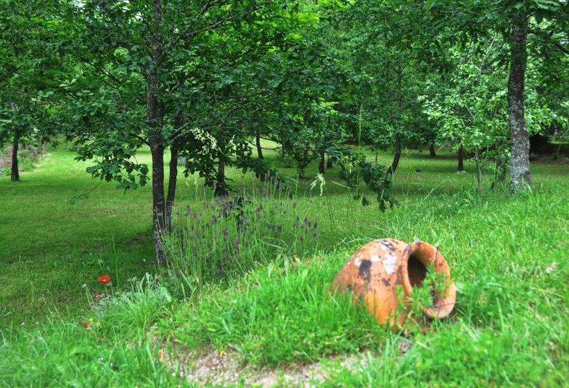 Bed and Breakfast Casas Vale Martinho