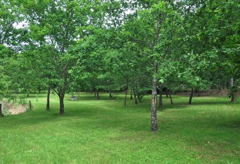 민박 Casas Vale Martinho