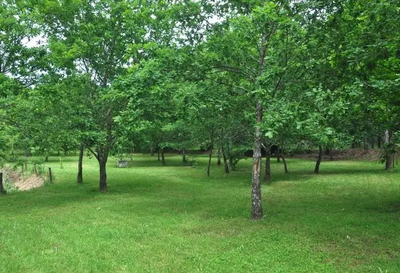 ベッドアンドブレックファースト Casas Vale Martinho