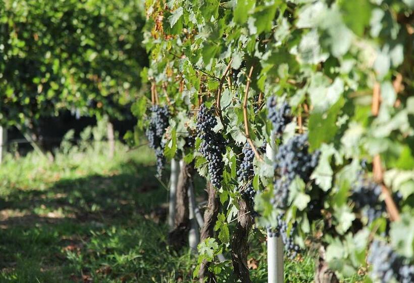 ペンション Encosta Dos Túneis   Turismo E Lazer