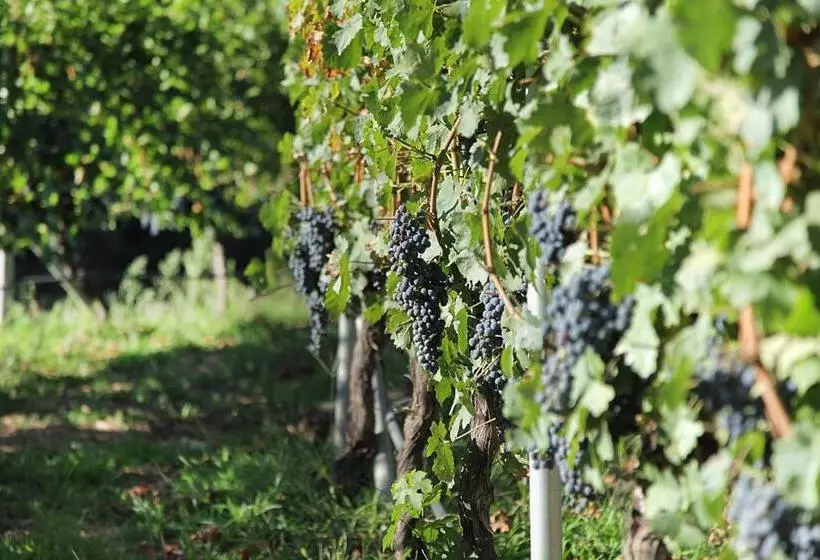 Majatalo Encosta Dos Túneis   Turismo E Lazer