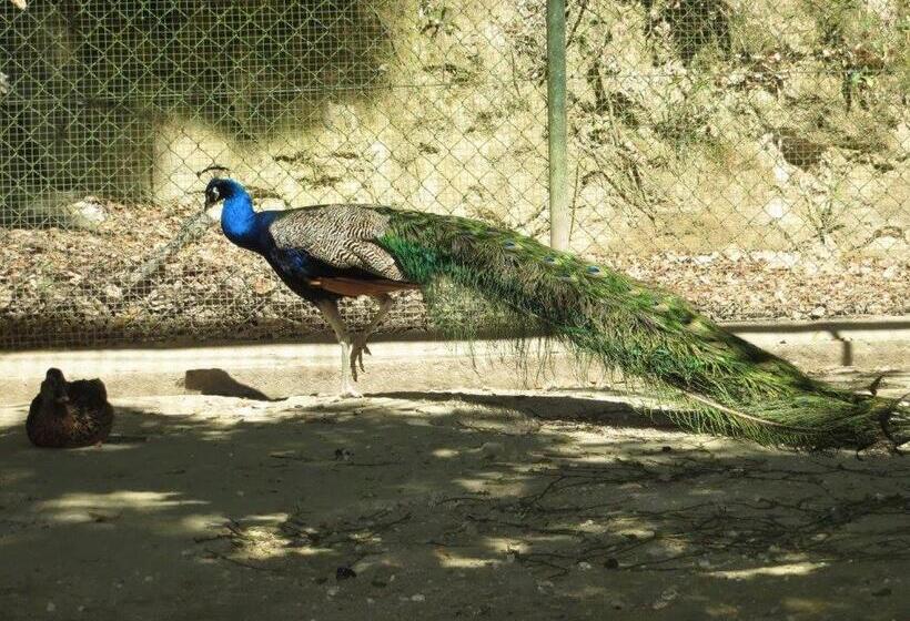 ペンション Encosta Dos Túneis   Turismo E Lazer