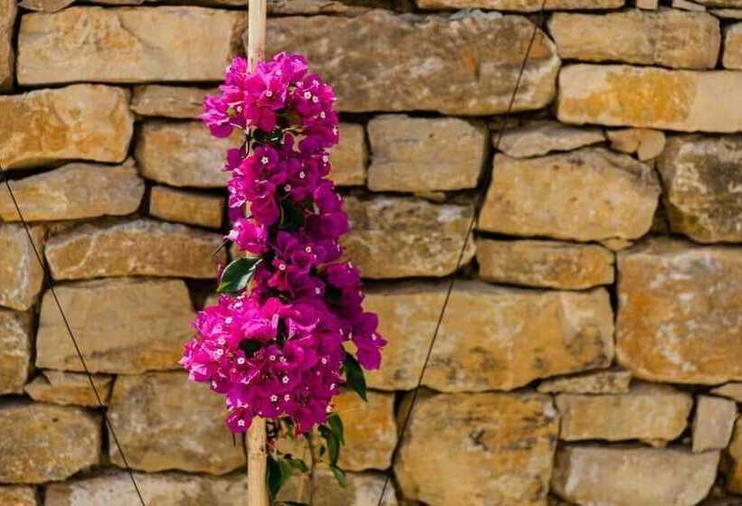 펜션 Pátio Da Figueira