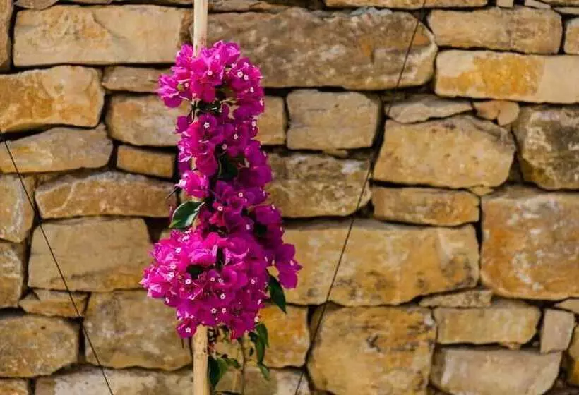 Majatalo Pátio Da Figueira