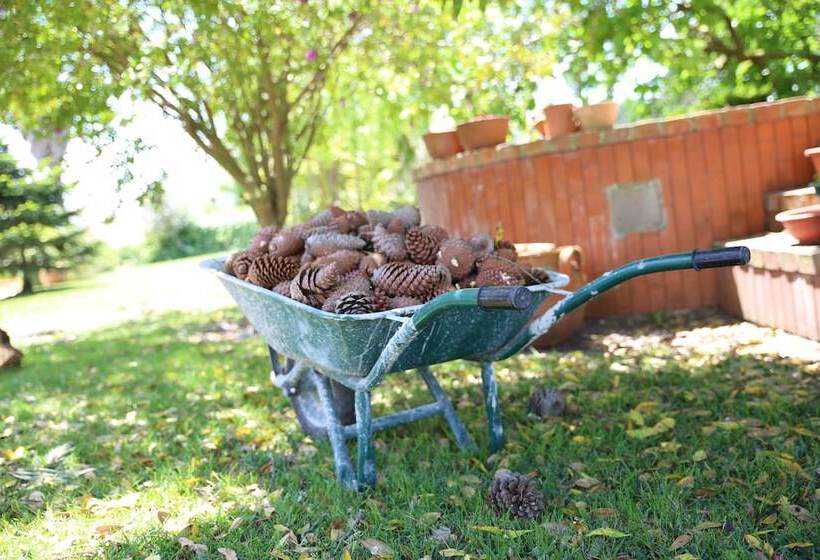 Пансион Vila Louro