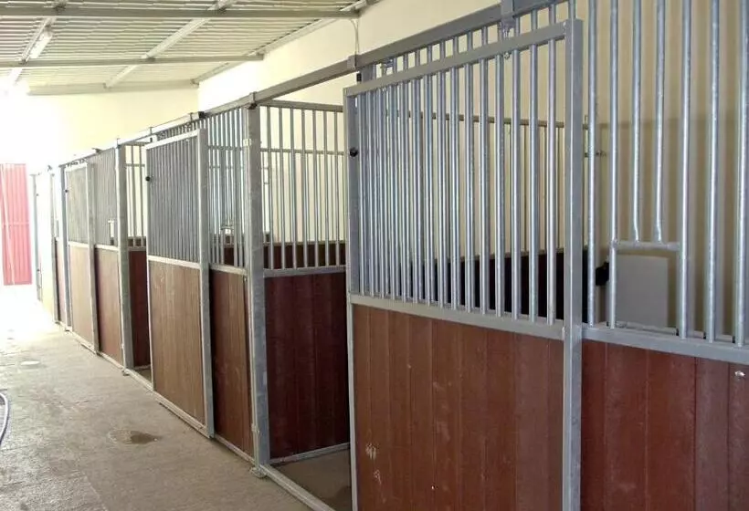 Retkeilymaja Casa Do Largo   Golegã   Turismo De Habitação