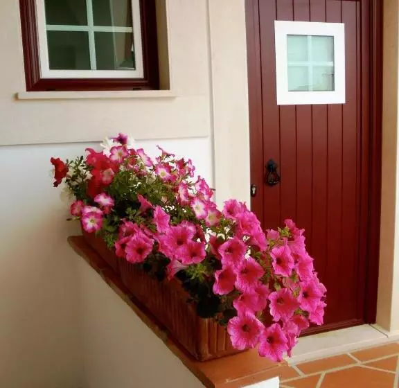 Retkeilymaja Casa Do Largo   Golegã   Turismo De Habitação