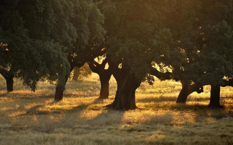 فندق Herdade Das Barradas Da Serra