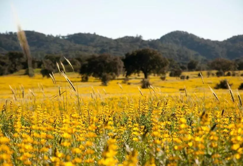 ホテル Herdade Das Barradas Da Serra