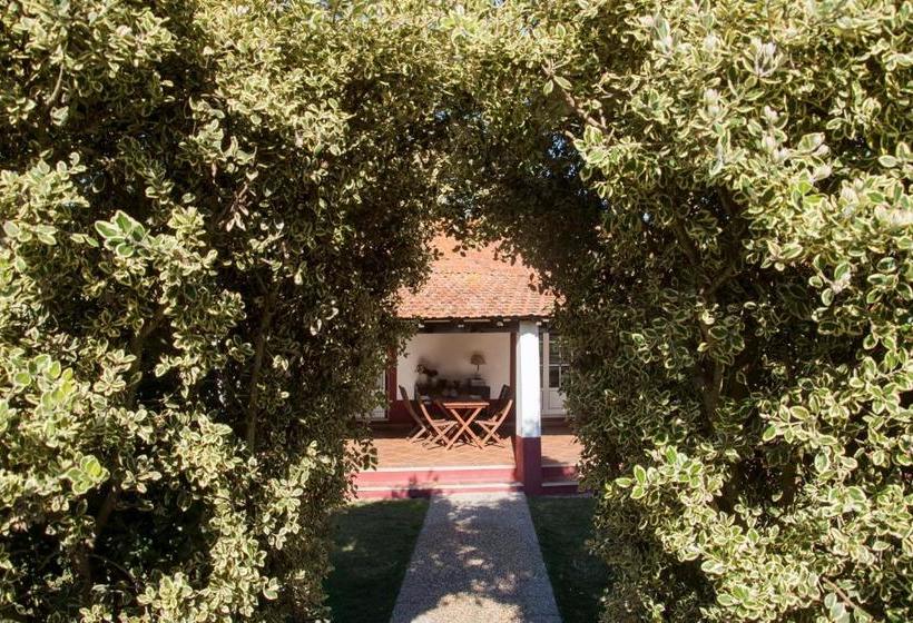 فندق Herdade Das Barradas Da Serra