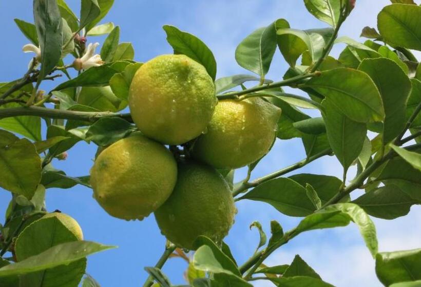 酒店 Horta Da Vila