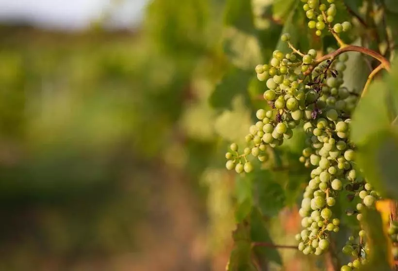 هتل Villamarina Garden Relais