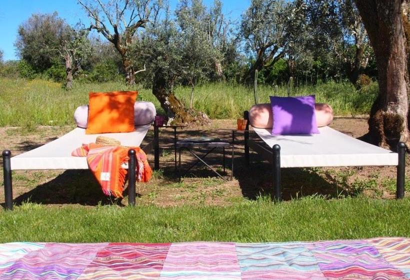 پانسیون Convento Senhora Da Vitoria Budget