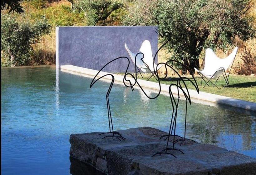 پانسیون Convento Senhora Da Vitoria Budget