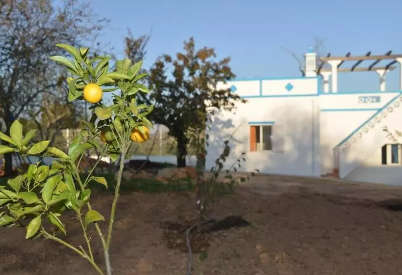 ペンション Quinta Da Fonte Em Moncarapacho