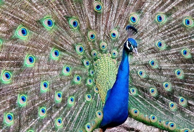 Quinta De Santo Estêvão Hotel Rural