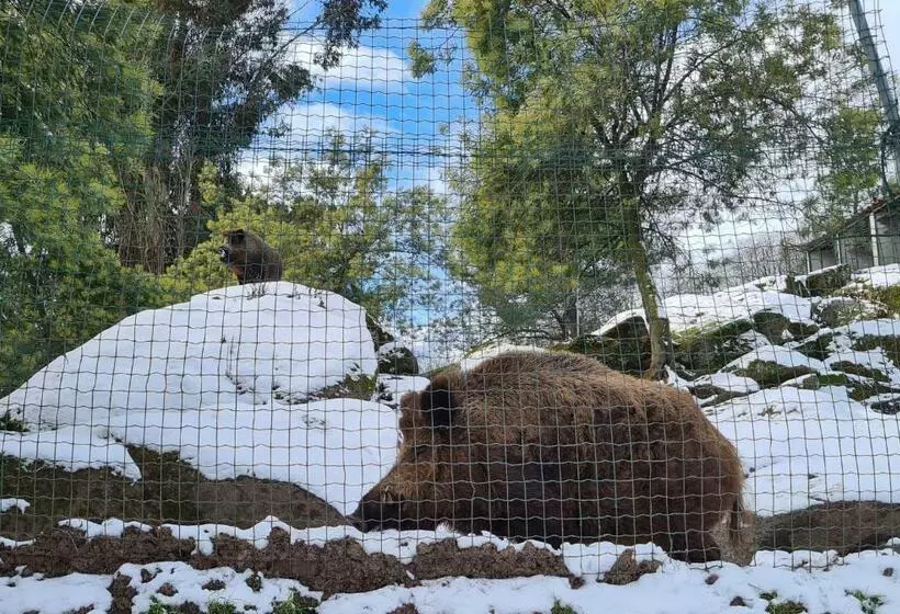 Quinta De Santo Estêvão Hotel Rural
