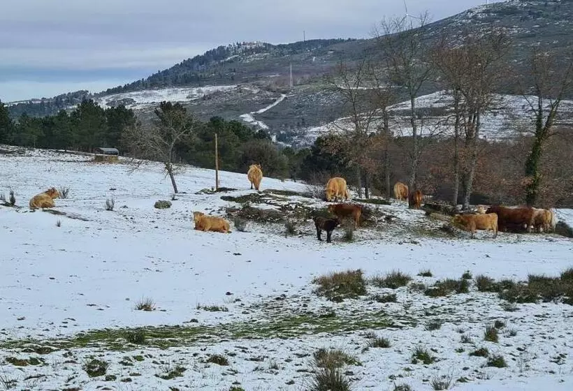 Quinta De Santo Estêvão Hotel Rural