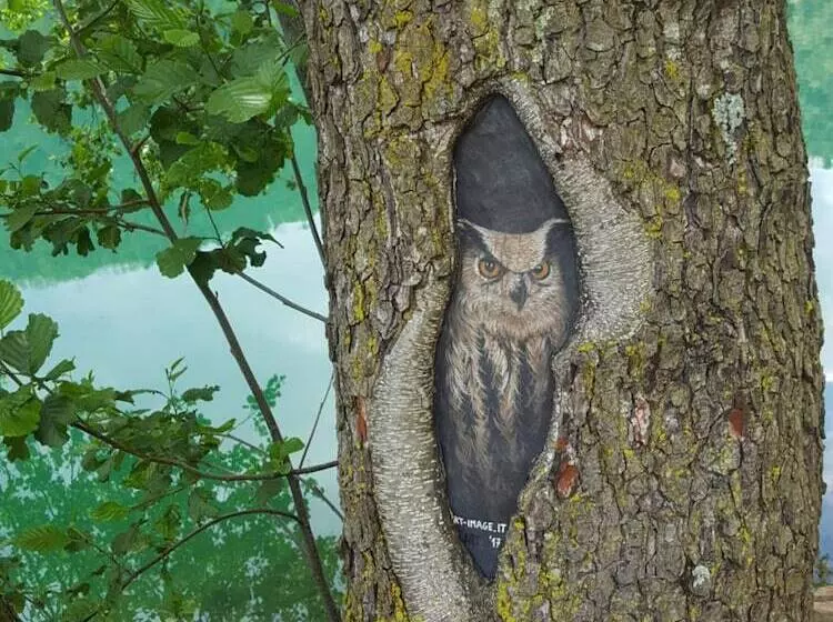 Hotelli Masetto Egidio Agritur