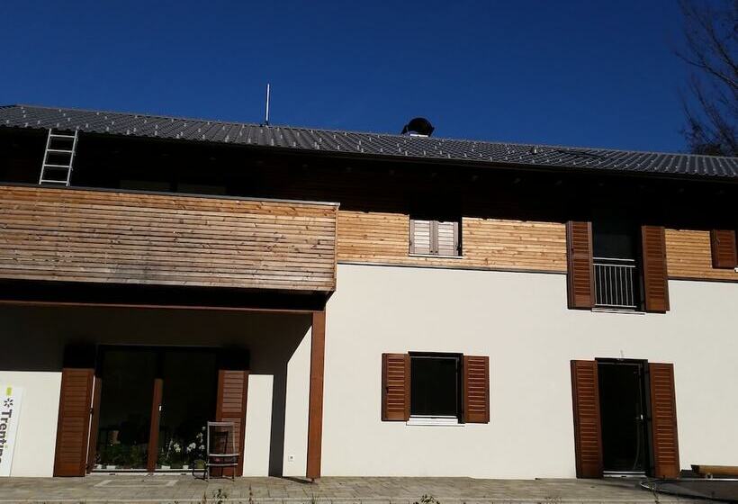 Отель Masetto Egidio Agritur