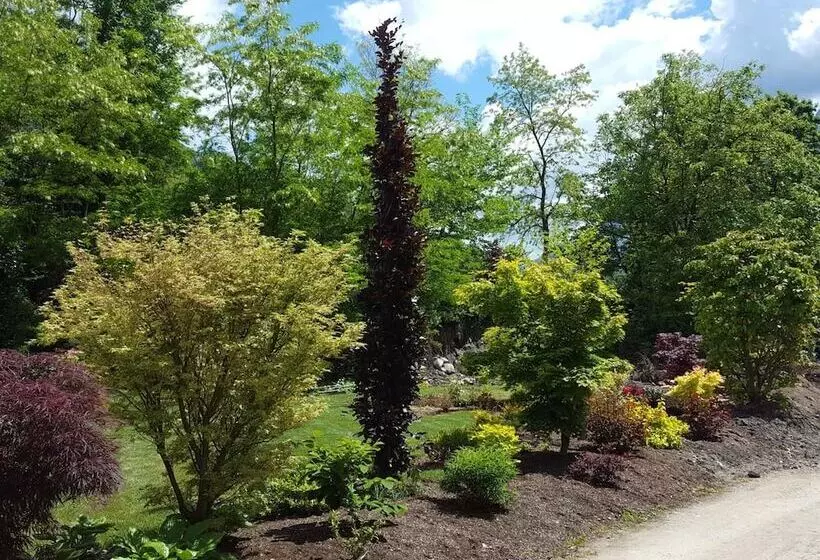 Hotelli Masetto Egidio Agritur