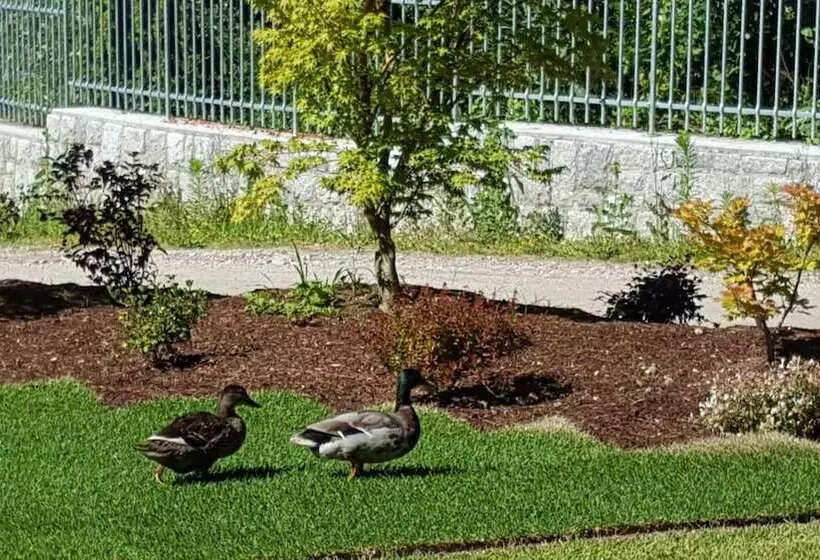 Hotelli Masetto Egidio Agritur