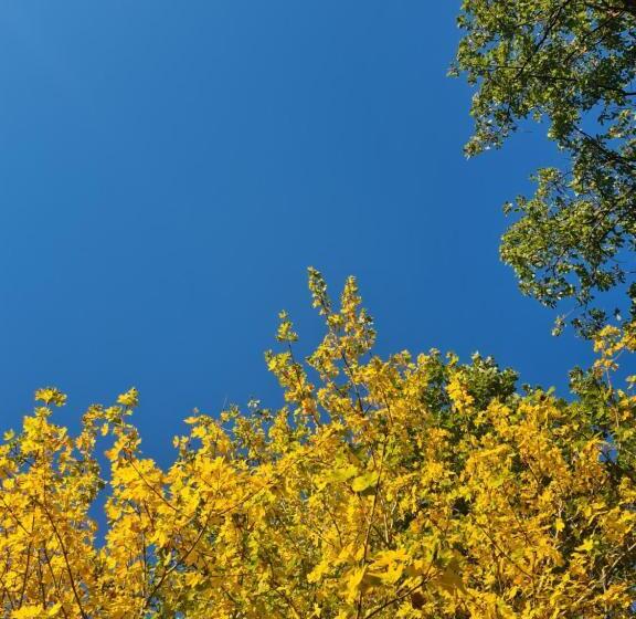 פנסיון Private Room In Small Medieval Borgo