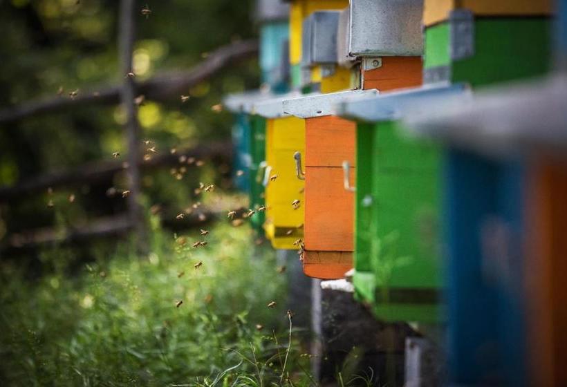 Отель Agriturismo La Pertica