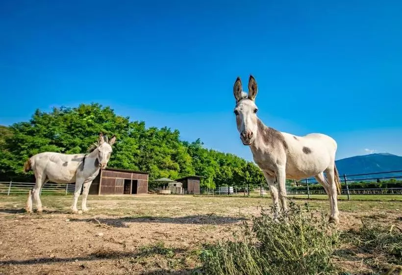 ホテル Agriturismo La Pertica