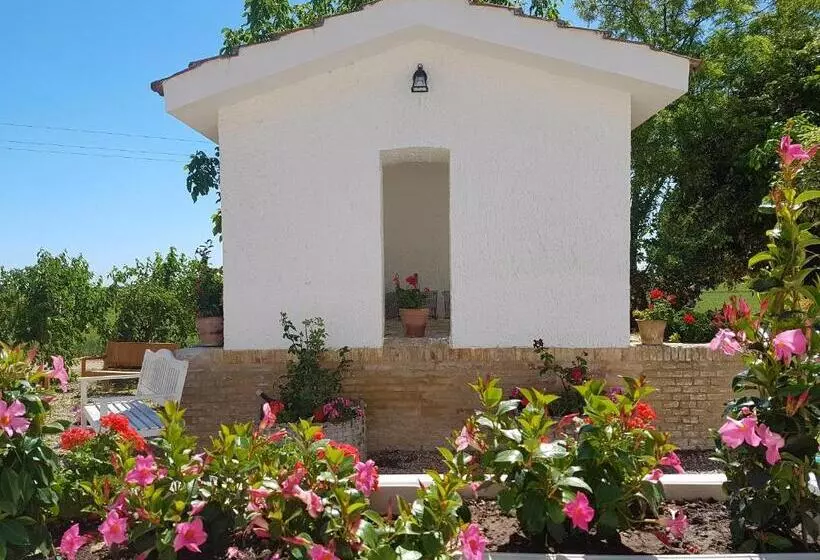 ホテル Agriturismo Masseria Mascitelli