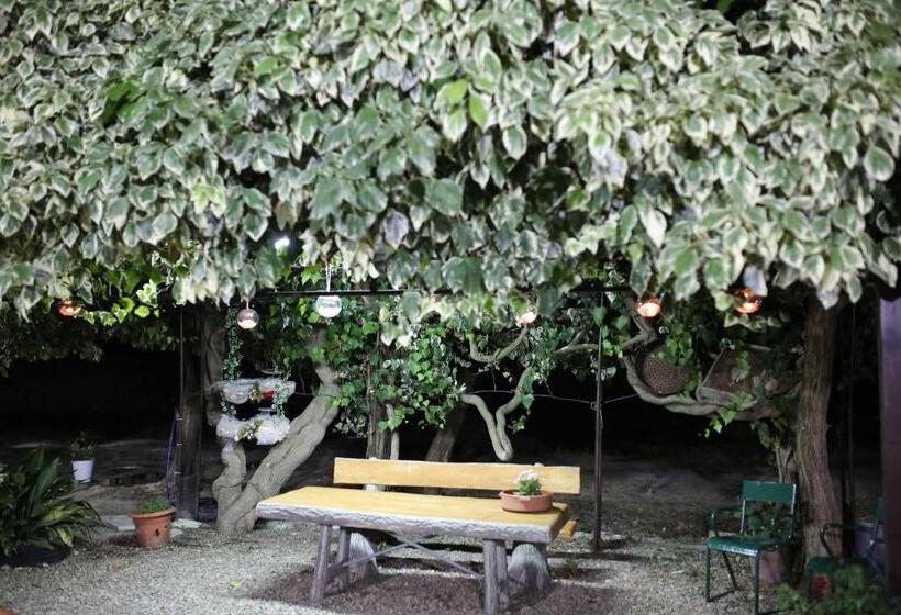 호텔 Agriturismo Masseria Mascitelli