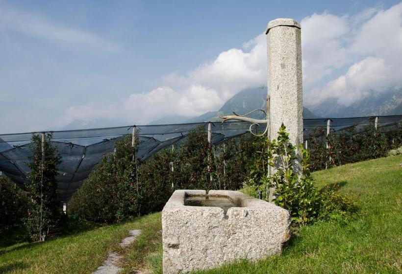 Hammele Appartements