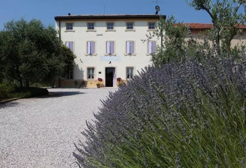 ホテル Agriturismo Casa Aurora