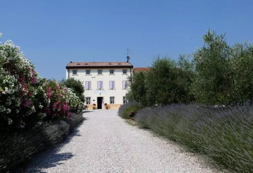 ホテル Agriturismo Casa Aurora