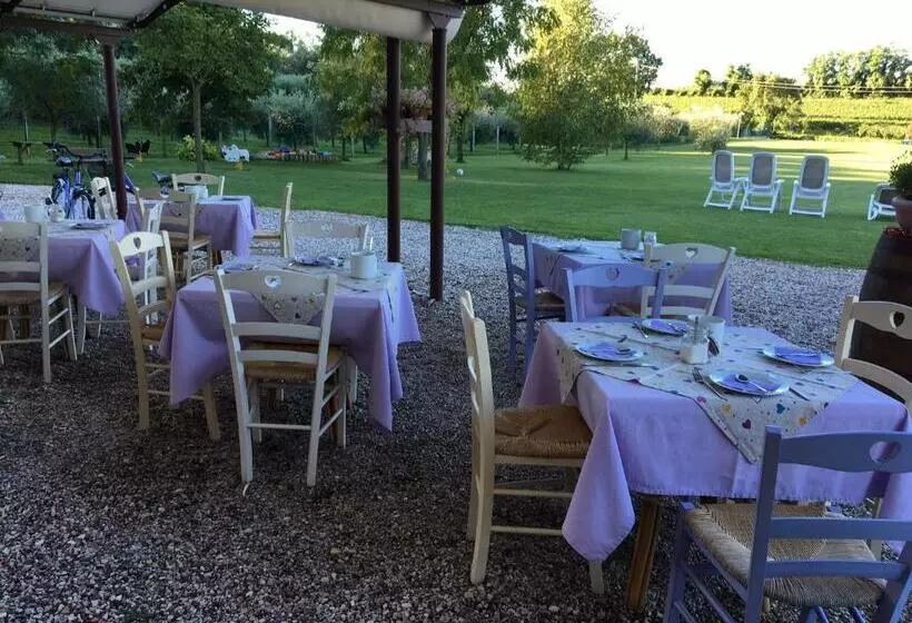 ホテル Agriturismo Casa Aurora