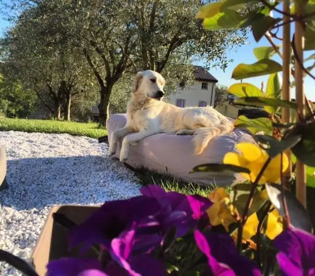 ホテル Agriturismo Casa Aurora