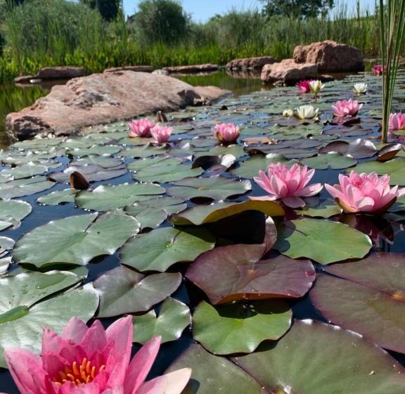 فندق Agriturismo Casa Aurora