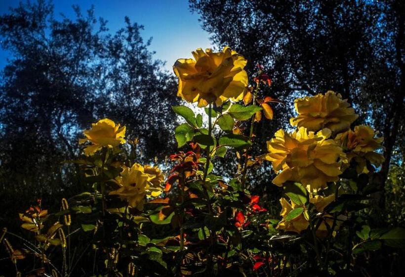 בית מלון כפרי Agriturismo Murikè