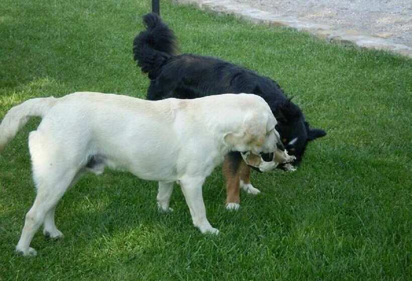 ホテル Agriturismo Vigna Mai