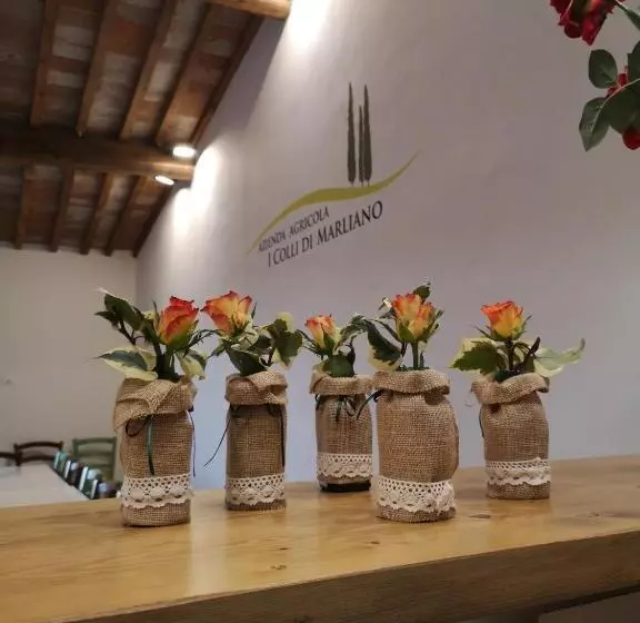 Hotelli Azienda Agricola I Colli Di Marliano