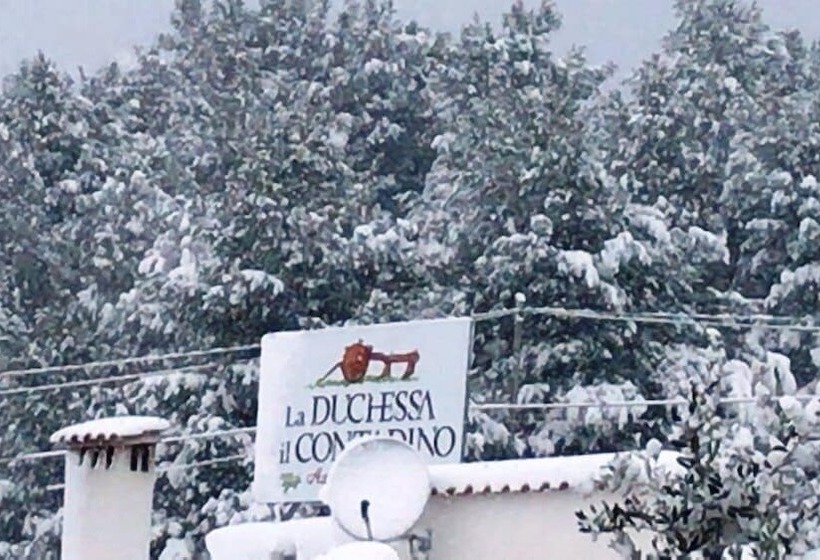 בית מלון כפרי La Duchessa E Il Contadino