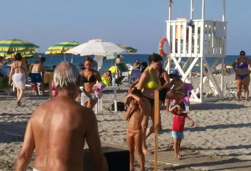 La Baia Di Nettuno Il Gatto E La Volpe