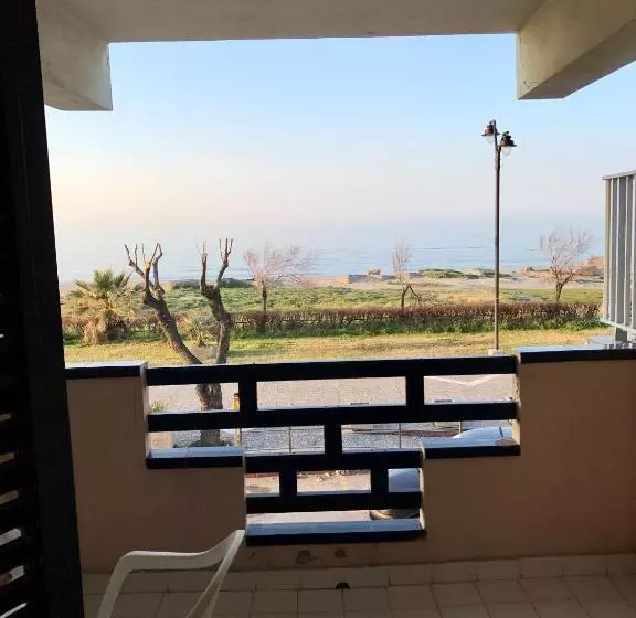 La Baia Di Nettuno Il Gatto E La Volpe