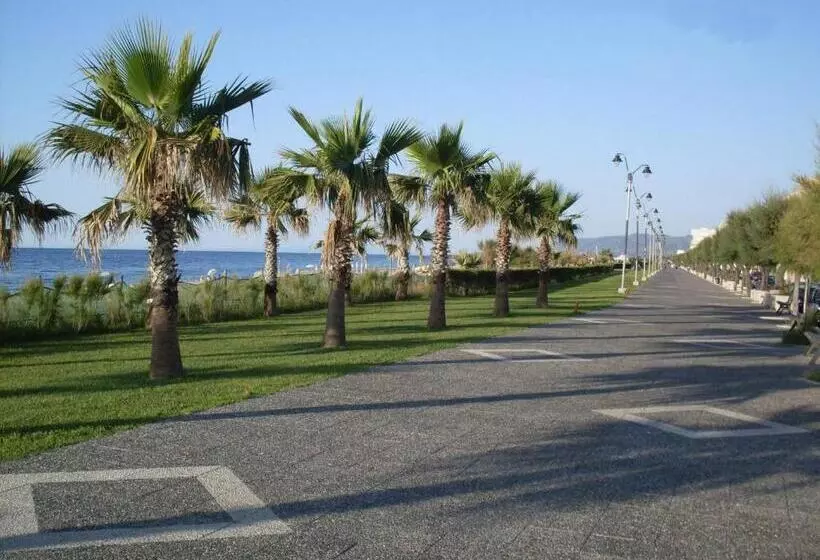 La Baia Di Nettuno Il Gatto E La Volpe